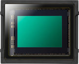 Panasonic LUMIX GH5s C4K Mirrorless Camera (Body Only)