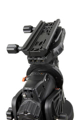 Celestron CGX-L Computerized Equatorial Mount (Head Only)