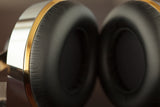 Final Audio Design Sonorous X Dynamic Driver Headphones (Metal)