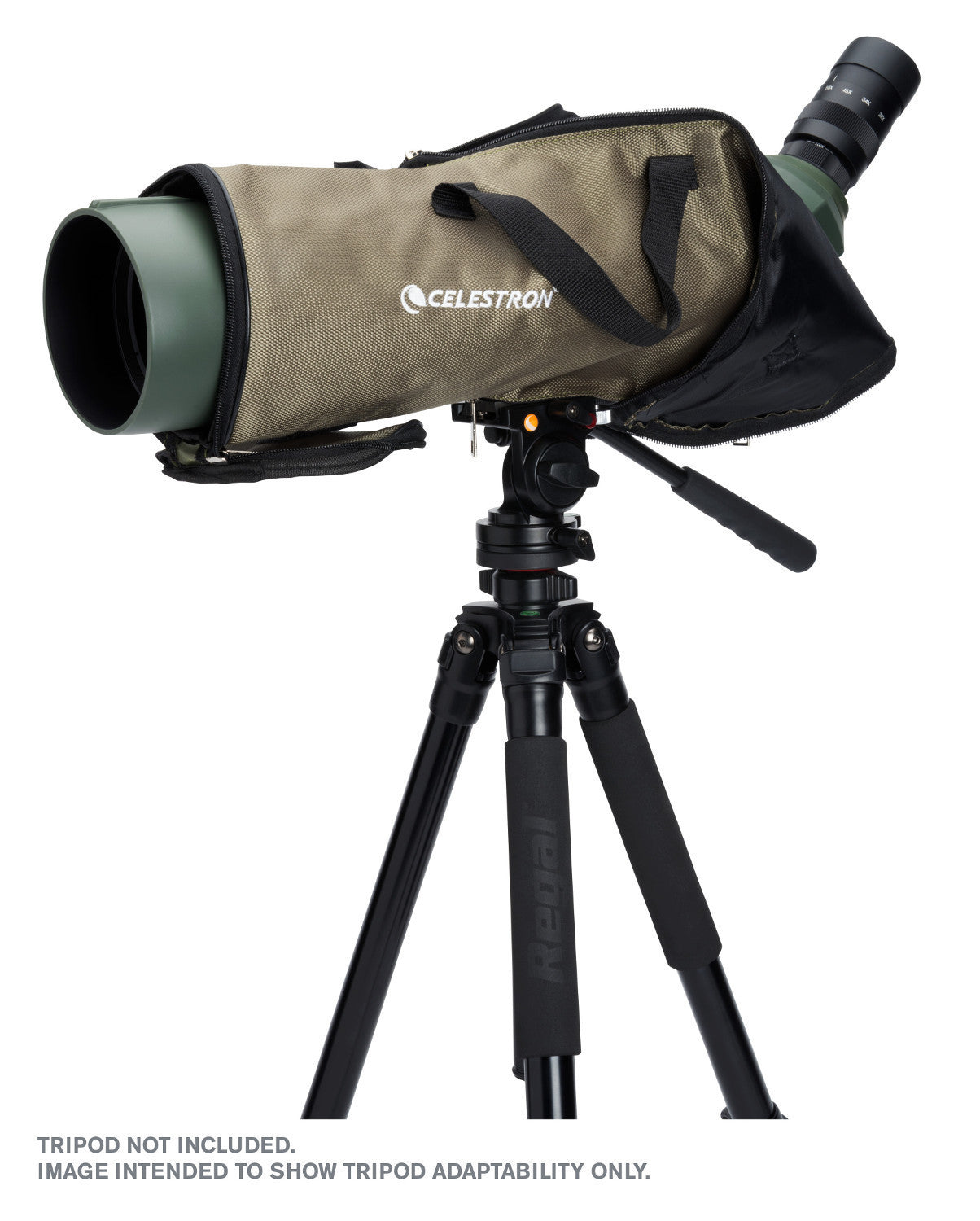 Celestron Regal M2 100ED Spotting Scope
