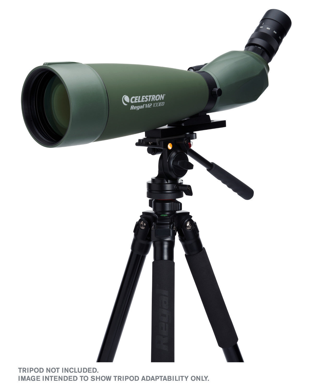 Celestron Regal M2 100ED Spotting Scope