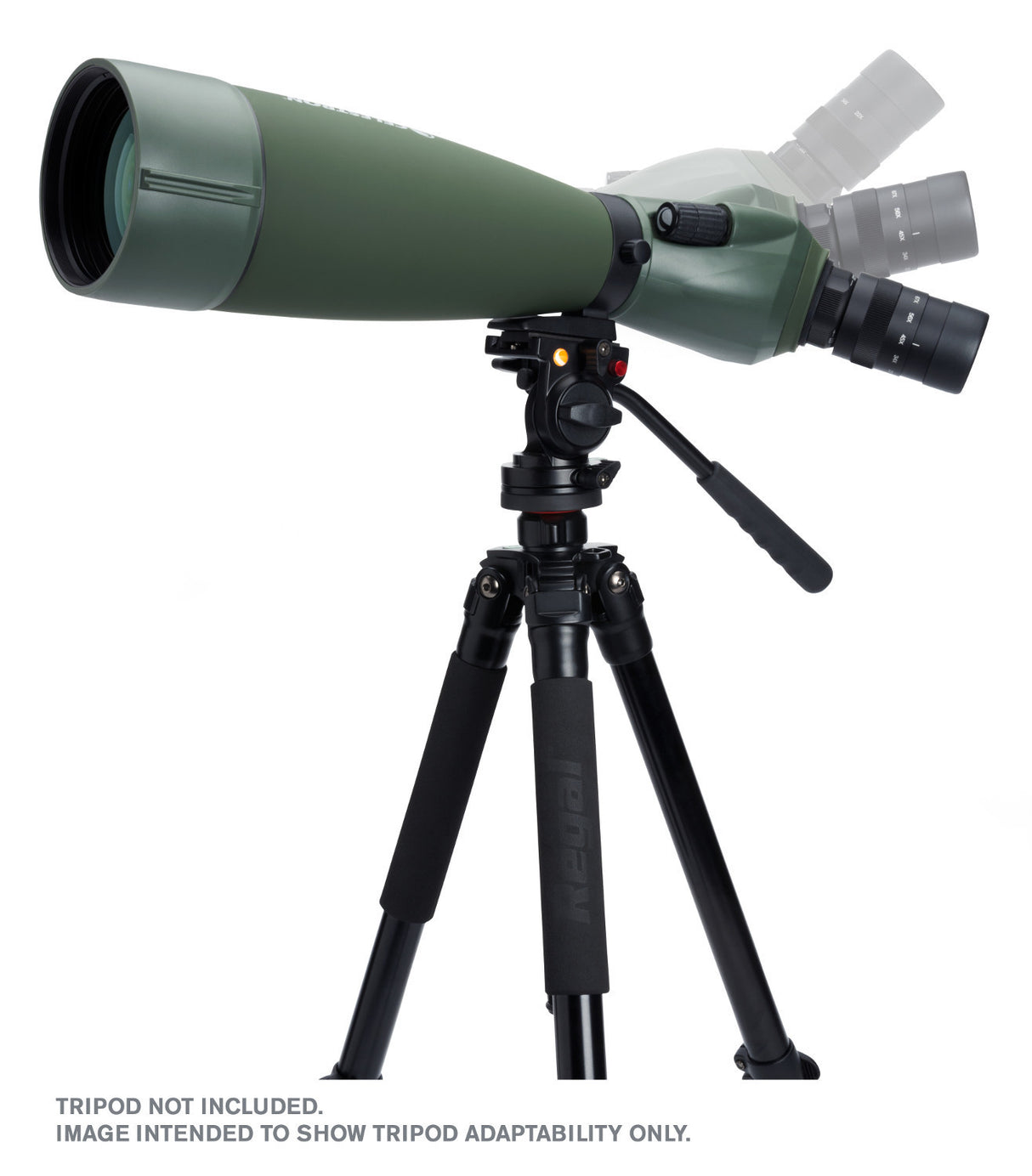 Celestron Regal M2 100ED Spotting Scope
