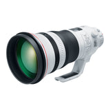 Canon EF 400mm f/2.8L IS III USM Lens
