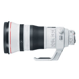 Canon EF 400mm f/2.8L IS III USM Lens