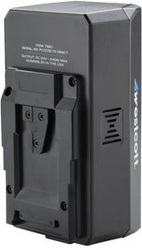 Westcott Flex Cine DMX 2-Light Gear Kit (1' x 2', Bi-Color)