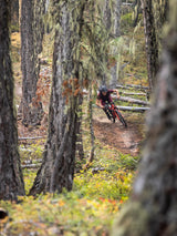 Sigma 70-200mm f/2.8 DG OS HSM Sport Lens for Canon