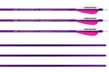 Genesis Archery Easton XX75 30 in NASP Arrows for Genesis Bows (6-pack, Purple)