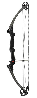 Genesis Archery Original Compound Bow (Right Hand, Black) and Six Arrows