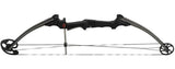 Genesis Archery Original Compound Bow (Right Hand, Black) and Six Arrows