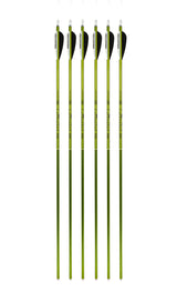 Genesis Archery Original Bow (Right Hand, Red) and Six Arrows Kit