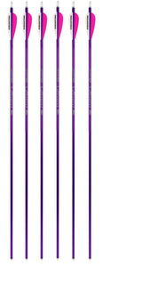 Genesis Archery Easton XX75 30 in NASP Arrows for Genesis Bows (6-pack, Purple)