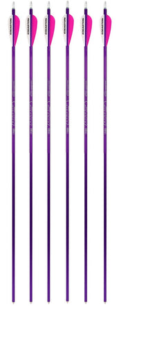 Genesis Archery Easton XX75 30 in NASP Arrows for Genesis Bows (6-pack, Purple)