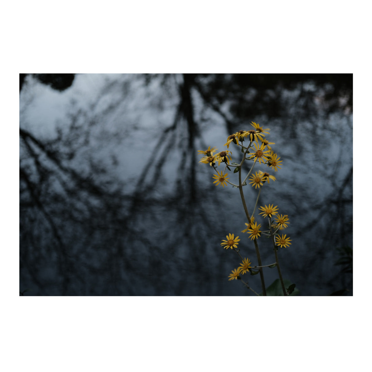 Fujifilm X-T30 Mirrorless Camera with 18-55mm Lens (Black)