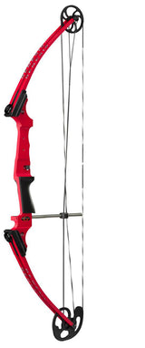 Genesis Archery Original Compound Bow (Right Hand, Red) with Arrows and Case