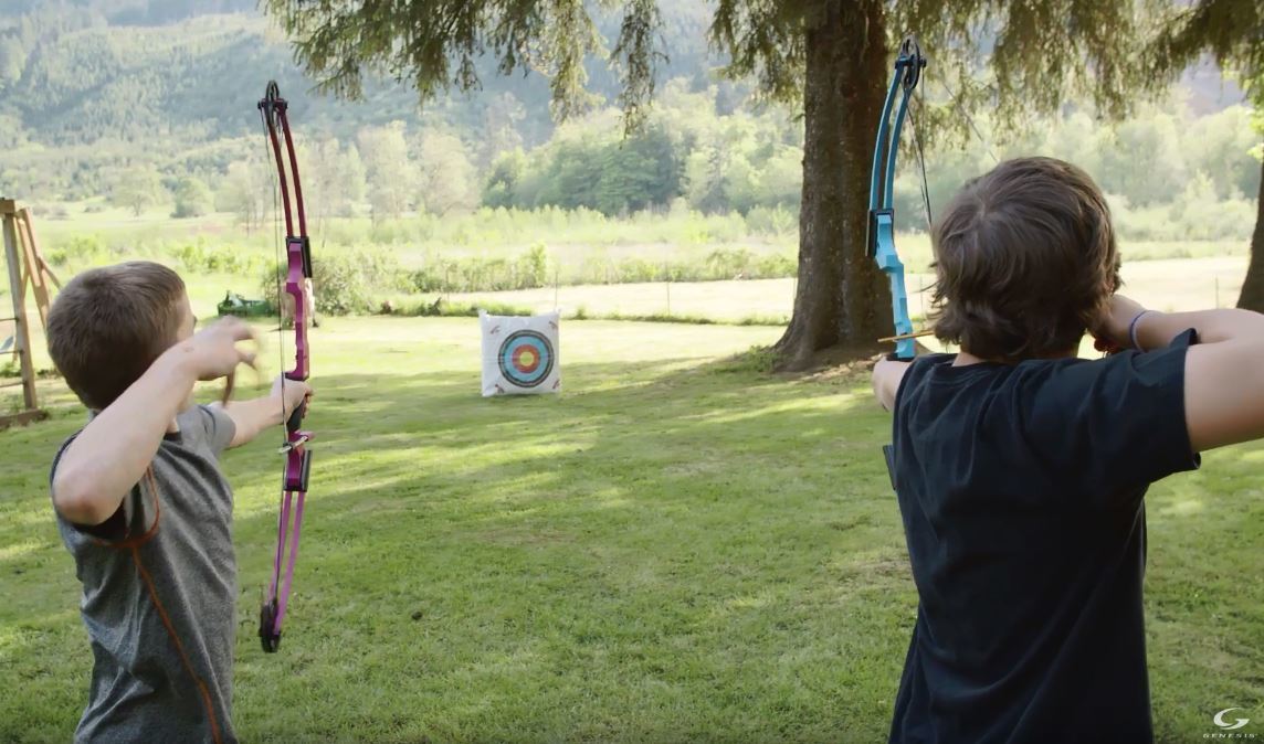 Genesis Archery Original Compound Bow (Right Hand, Red) with Arrows and Case