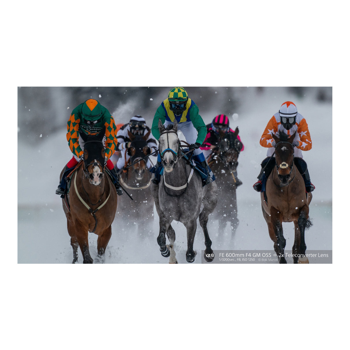 Sony FE 600mm f/4.0 GM OSS Super Telephoto Prime G-Master Lens