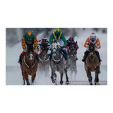 Sony FE 600mm f/4.0 GM OSS Super Telephoto Prime G-Master Lens