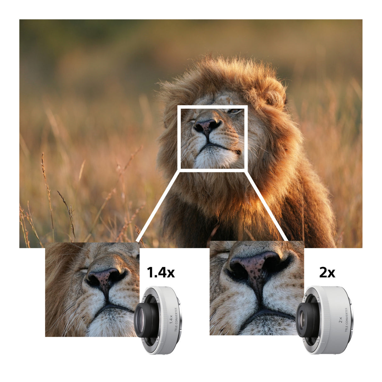 Sony FE 600mm f/4.0 GM OSS Super Telephoto Prime G-Master Lens