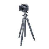 Vanguard VEO 2 S 235AB Carbon Fiber Travel Tripod/Monopod with VEO 2 BH-50 Ball Head