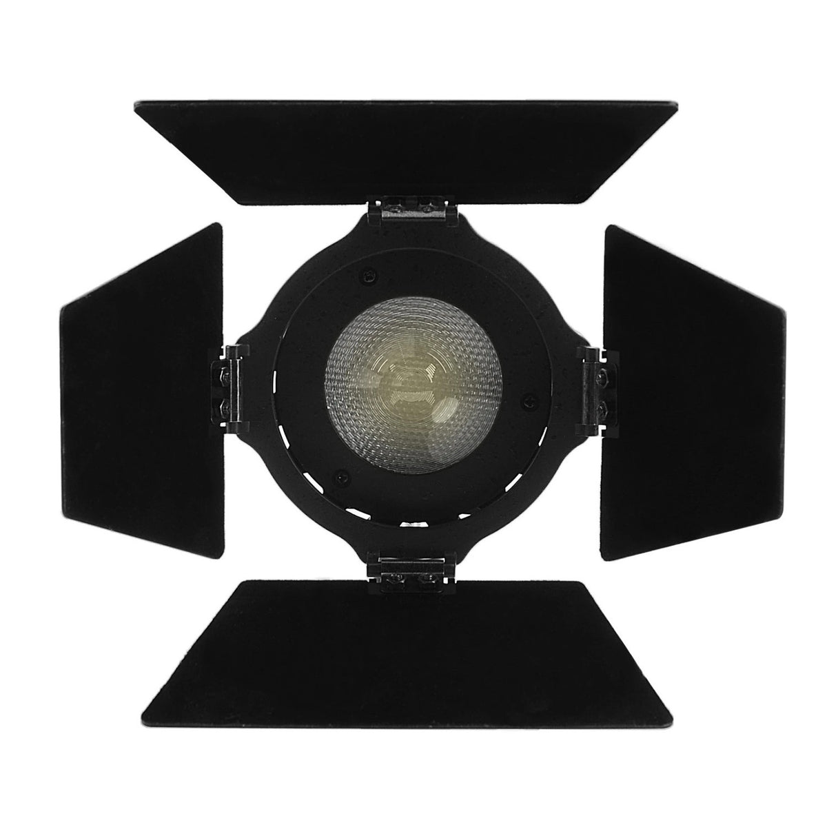 Aputure Light Storm LS-Mini 20D Daylight LED Light