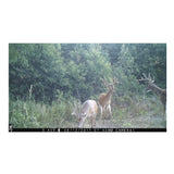 Browning Trail Cameras Strike Force Extreme 16MP Game Camera
