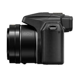 Panasonic LUMIX FZ80D 18.1MP 4K Point Shoot Long Zoom Camera with 64GB SD Card and Accessory Bundle