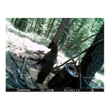 Stealth Cam PX14X P Series 10MP Digital Scouting Trail Camera