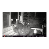 Stealth Cam PX14X P Series 10MP Digital Scouting Trail Camera