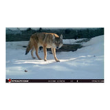 Stealth Cam PX14X P Series 10MP Digital Scouting Trail Camera