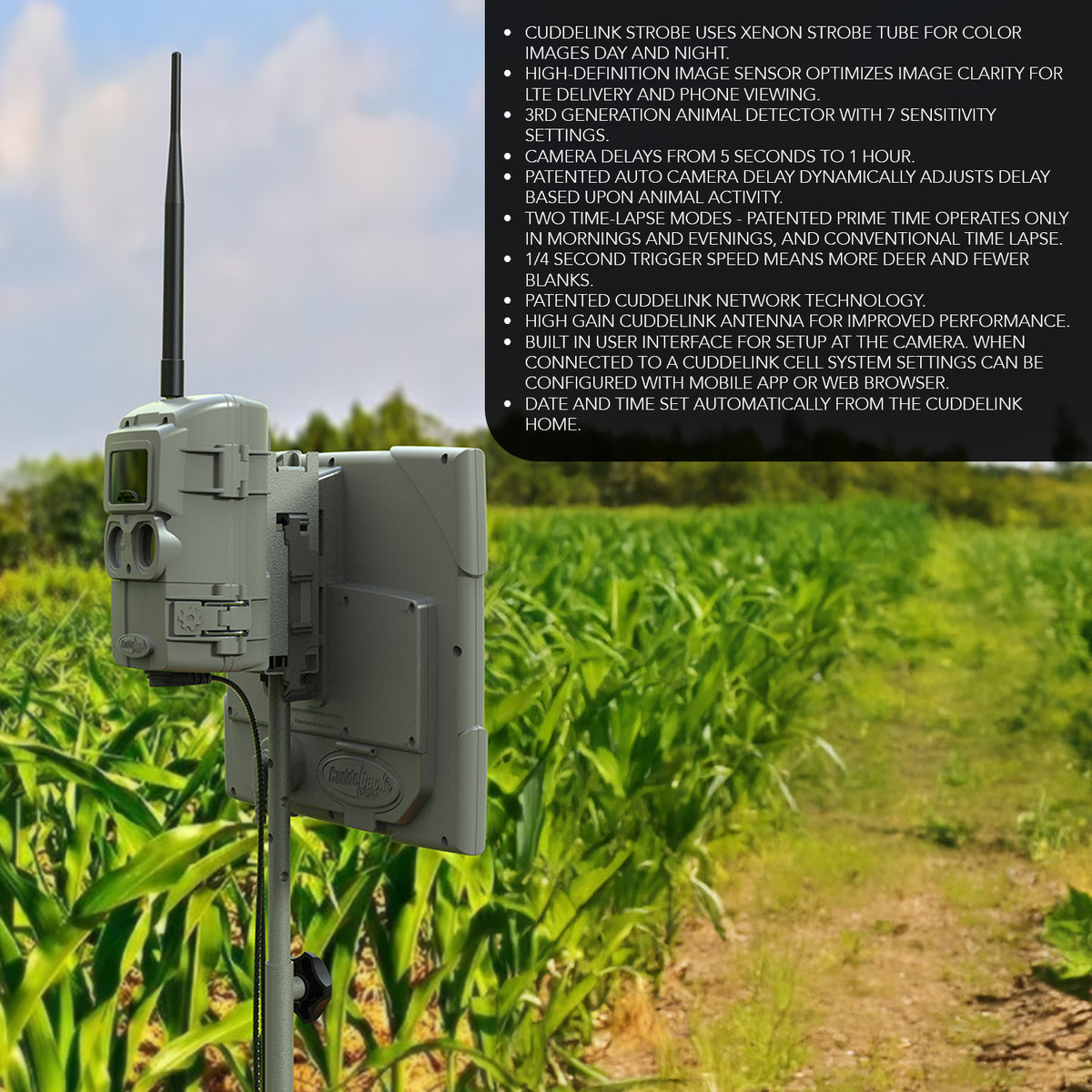 Cuddeback CuddeLink Wireless, 3rd Gen Sensor, Low-Glow IR LED Camera Bundle