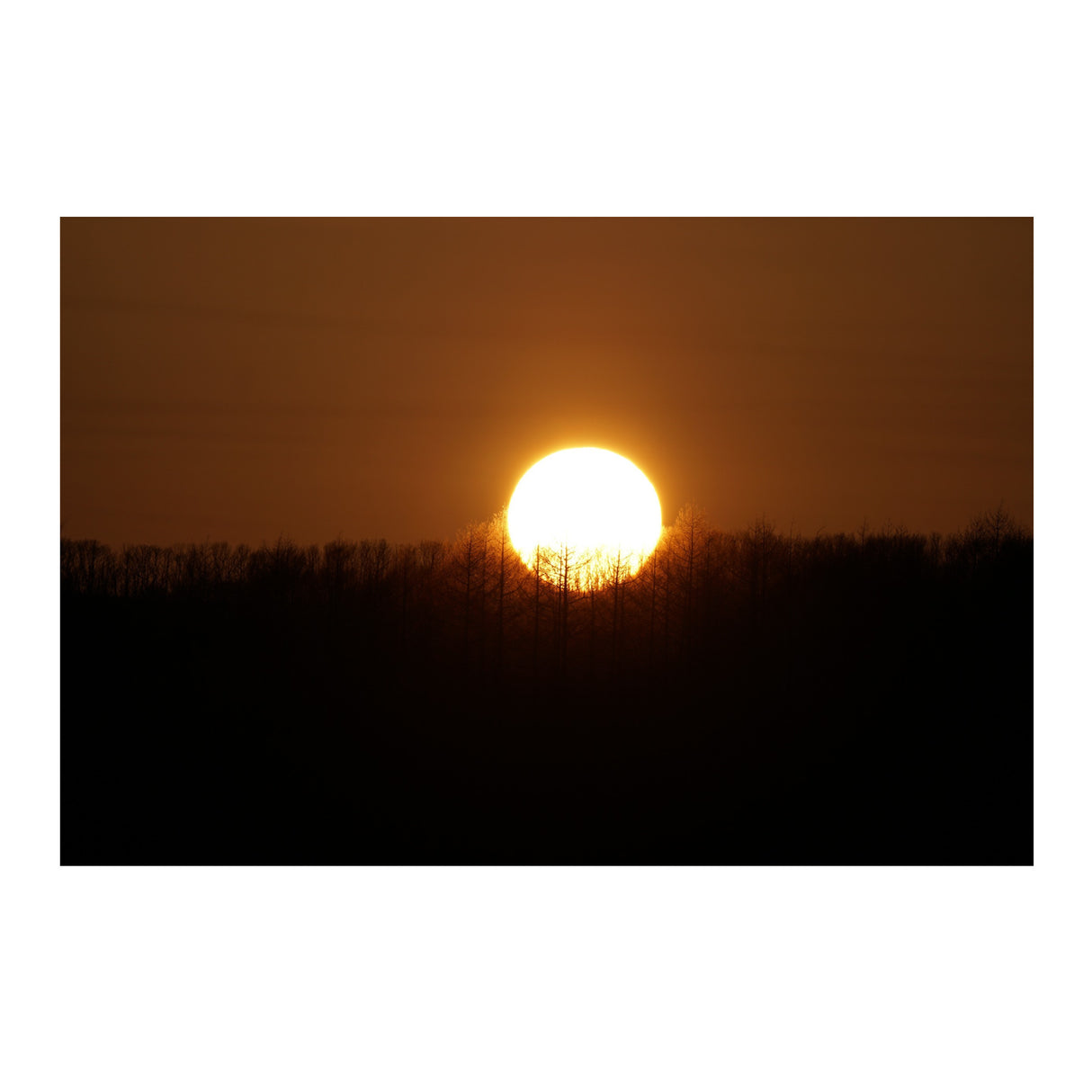 Sony Alpha FE 100-400mm f/4.5-5.6 GM Super Telephoto Zoom Lens