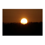 Sony Alpha FE 100-400mm f/4.5-5.6 GM Super Telephoto Zoom Lens