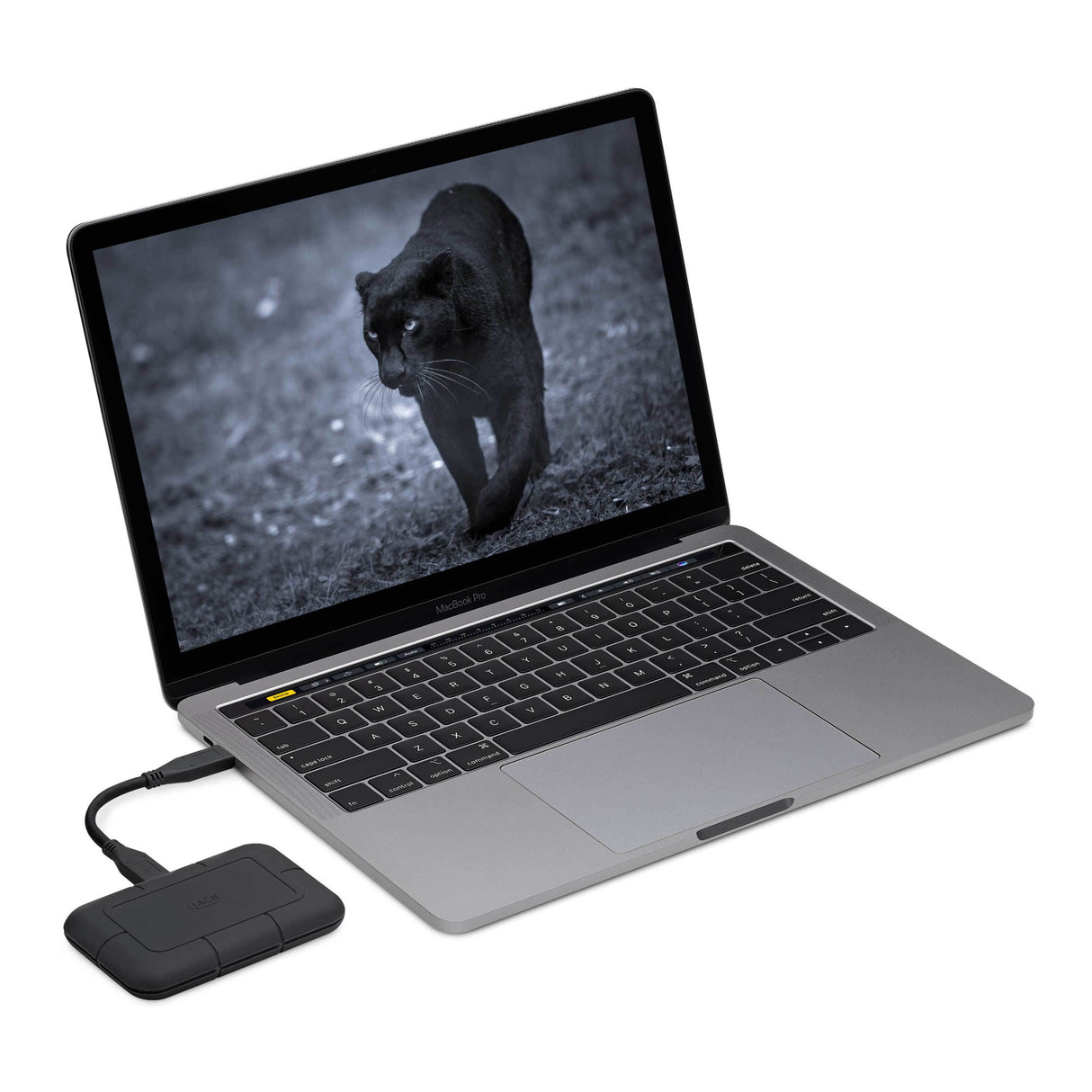 LaCie Rugged SSD Pro 2TB Thunderbolt 3 Professional External Solid State Drive