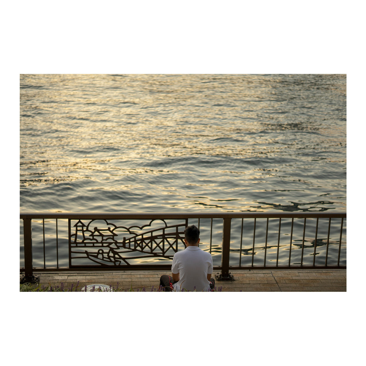 Sigma 56mm f/1.4 DC DN Contemporary Lens for Micro Four Thirds