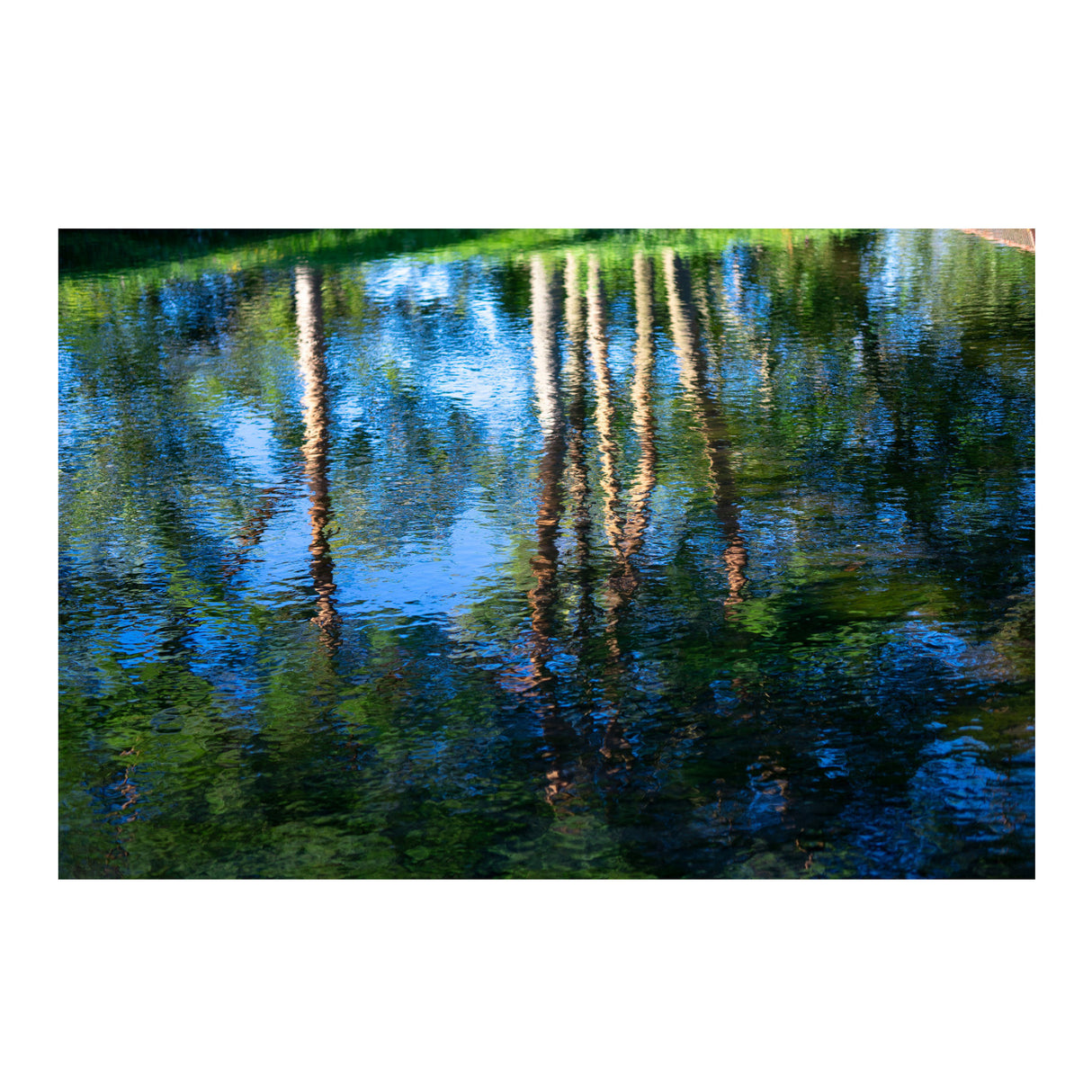 Sigma 56mm f/1.4 DC DN Contemporary Lens for Micro Four Thirds