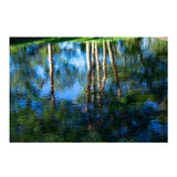 Sigma 56mm f/1.4 DC DN Contemporary Lens for Micro Four Thirds