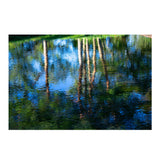 Sigma 56mm f/1.4 Contemporary DC DN Prime Lens for Sony E-Mount