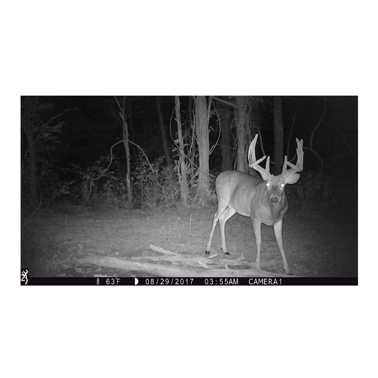 Browning Trail Cameras 18MP Strike Force HD Max Trail Camera