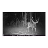 Browning Trail Cameras 18MP Strike Force HD Max Trail Camera