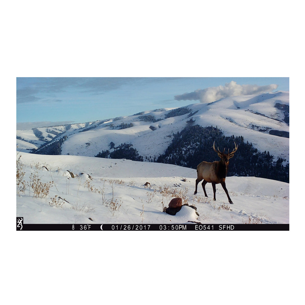 Browning Trail Cameras 18MP Strike Force HD Max Trail Camera