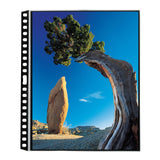 Itoya Art Profolio 14x17-in PolyGlass Page Refills for Binders (10 Sheets)