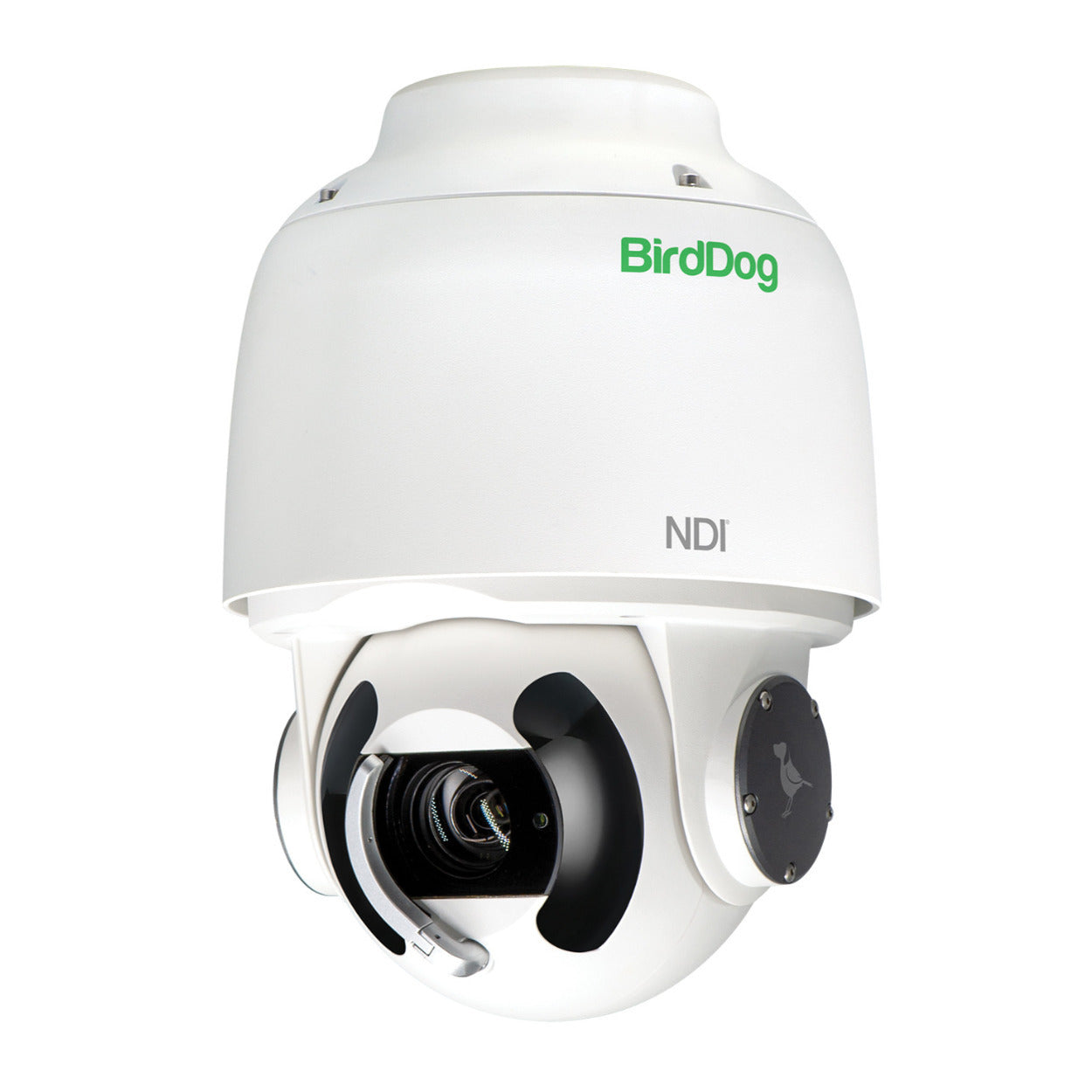 Optical Zoom Birddog Eyes P200 Ndi Ptz Camera BirdDog X EYES P200