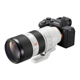 Sony Alpha 7S III Full-frame Interchangeable Mirrorless Digital Camera Body (Black)