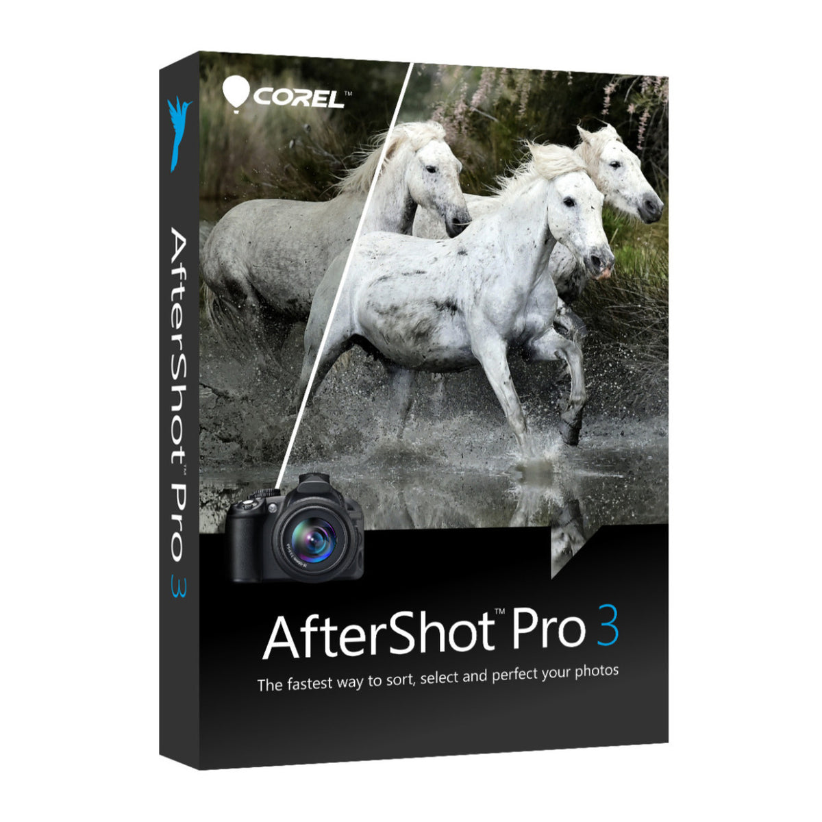 Corel Photo, Video, and Art Software Suite v4.0