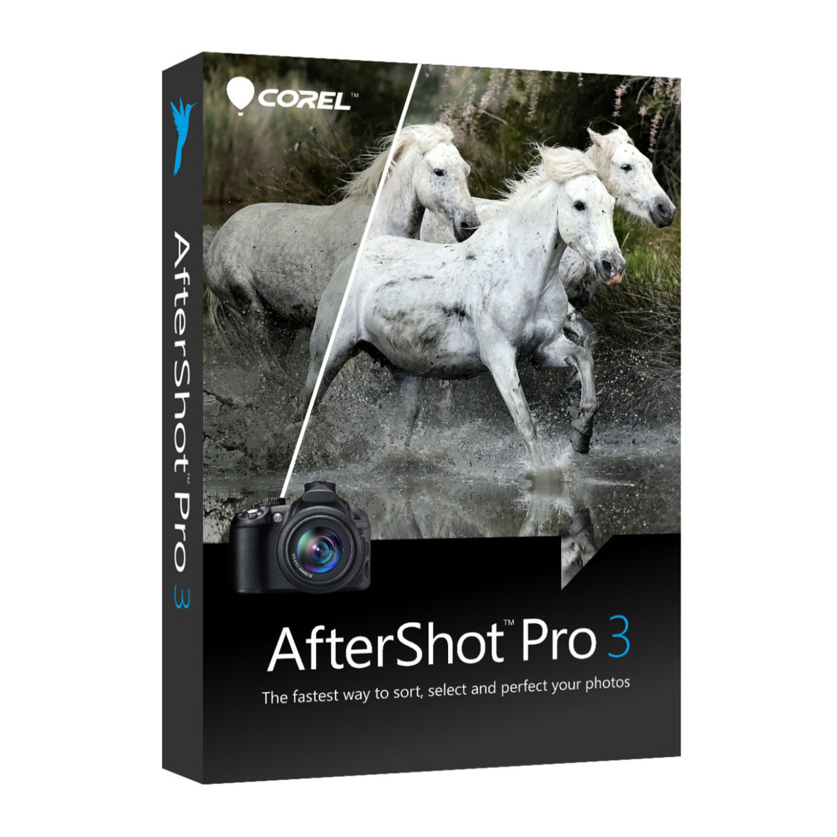 Corel Photo, Video, and Art Deluxe Software Suite v4.0 with Photo Mirage