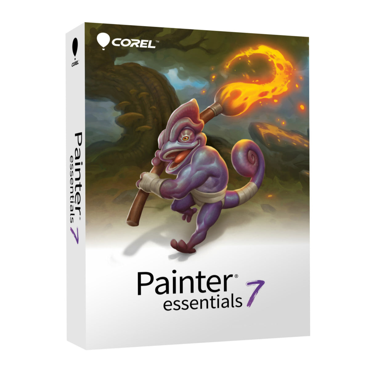 Corel Photo, Video, and Art Deluxe Software Suite v4.0 with Photo Mirage