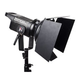 Aputure Light Storm LS C120d II (V-Mount)