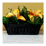 Mini Gadgets Bush Baby Faux Plant in Wicker Basket with Wi-Fi Hidden Camera