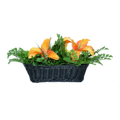 Mini Gadgets Bush Baby Faux Plant in Wicker Basket with Wi-Fi 4K Hidden Camera