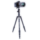 Vanguard Vesta TB235AB Aluminum Tripod with T-51 Ball Head